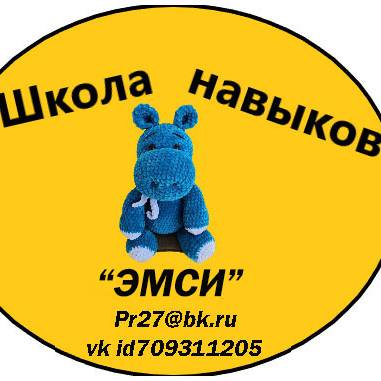 Иконка канала Школа навыков MS