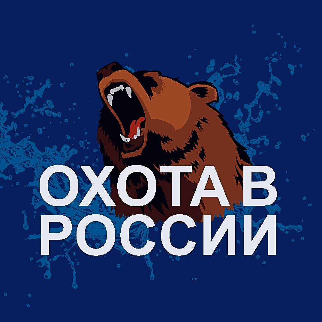 Охота в России на RUTUBE: 4 видео – смотреть онлайн и бесплатно (23485122)