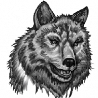 Иконка канала Русский  Волк