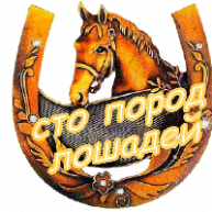 Иконка канала Сто пород лошадей!