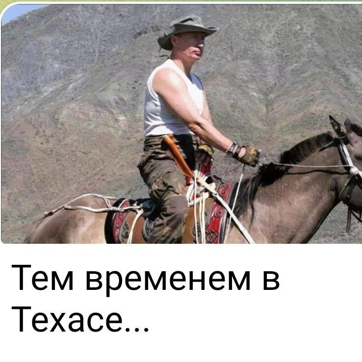 Иконка канала vovanoid