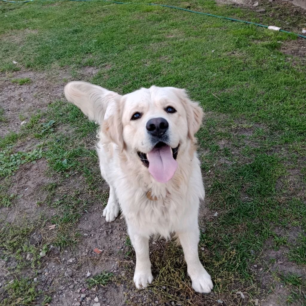 Иконка канала ZheDoll Страшилки