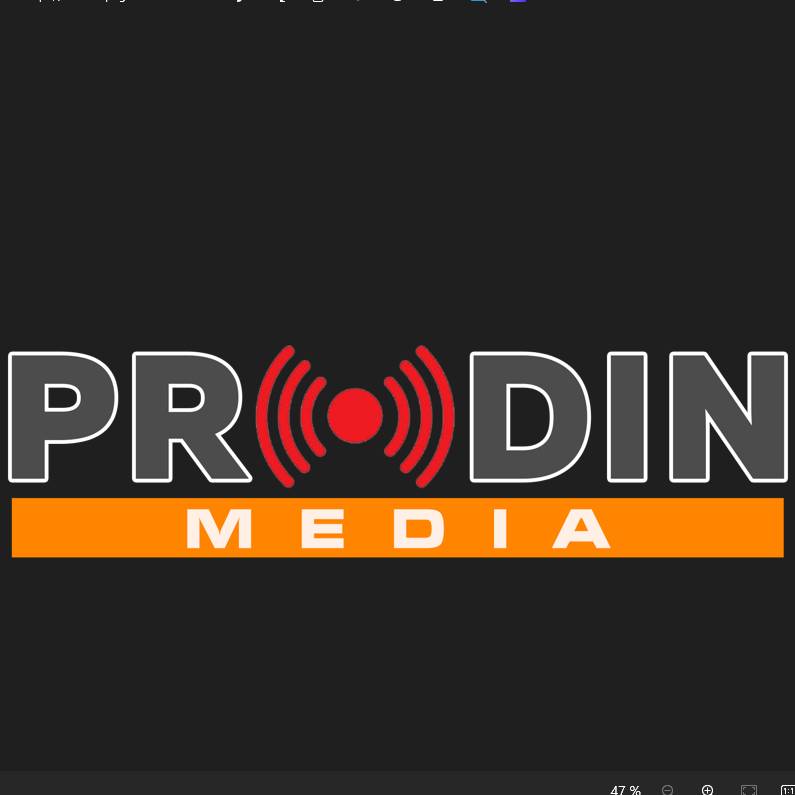Иконка канала ProDin Media
