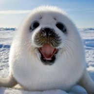 Иконка канала Интересные новости, юмор, стиль, мода, искусство.