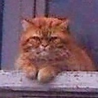 Иконка канала tonkurant