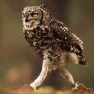 Иконка канала Хороший стиль (Bon style)