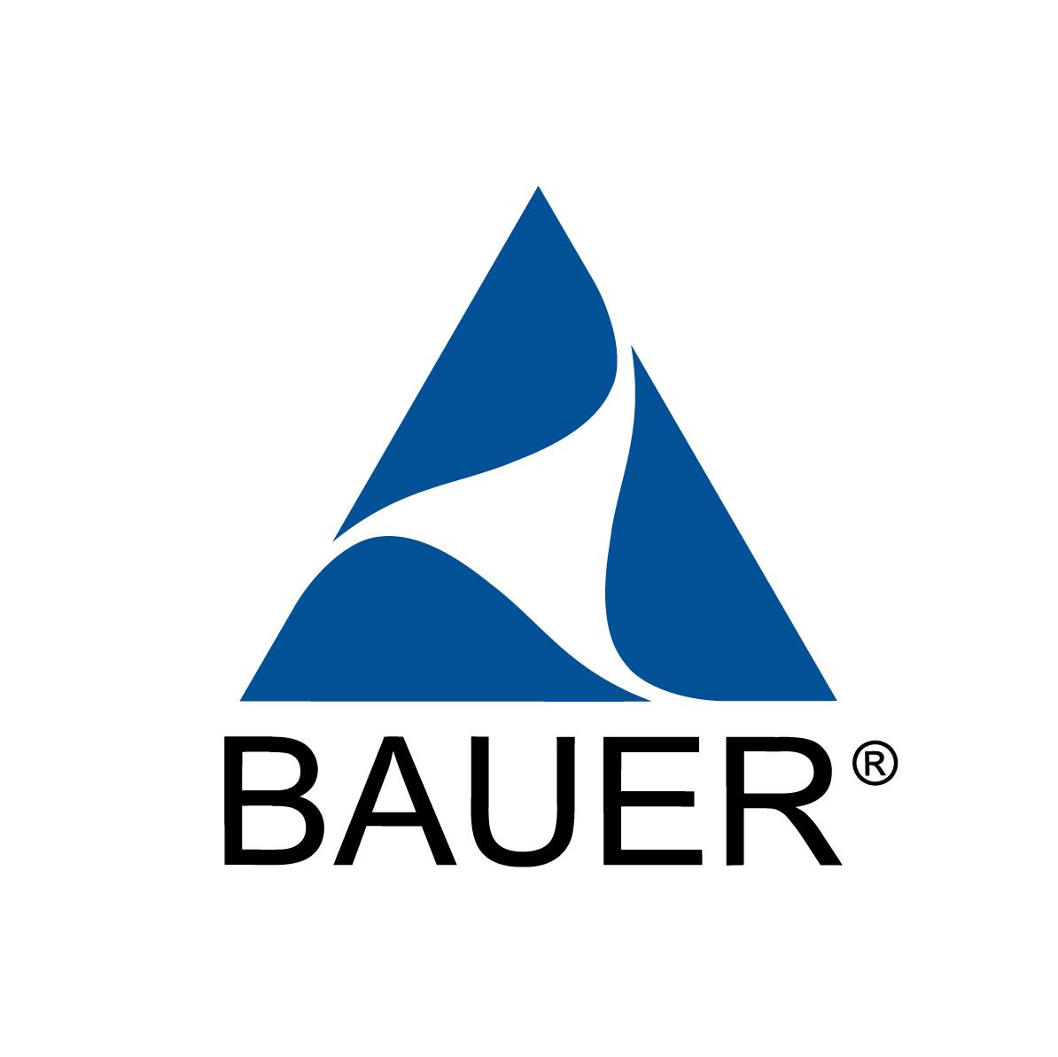 Иконка канала bauer-academy