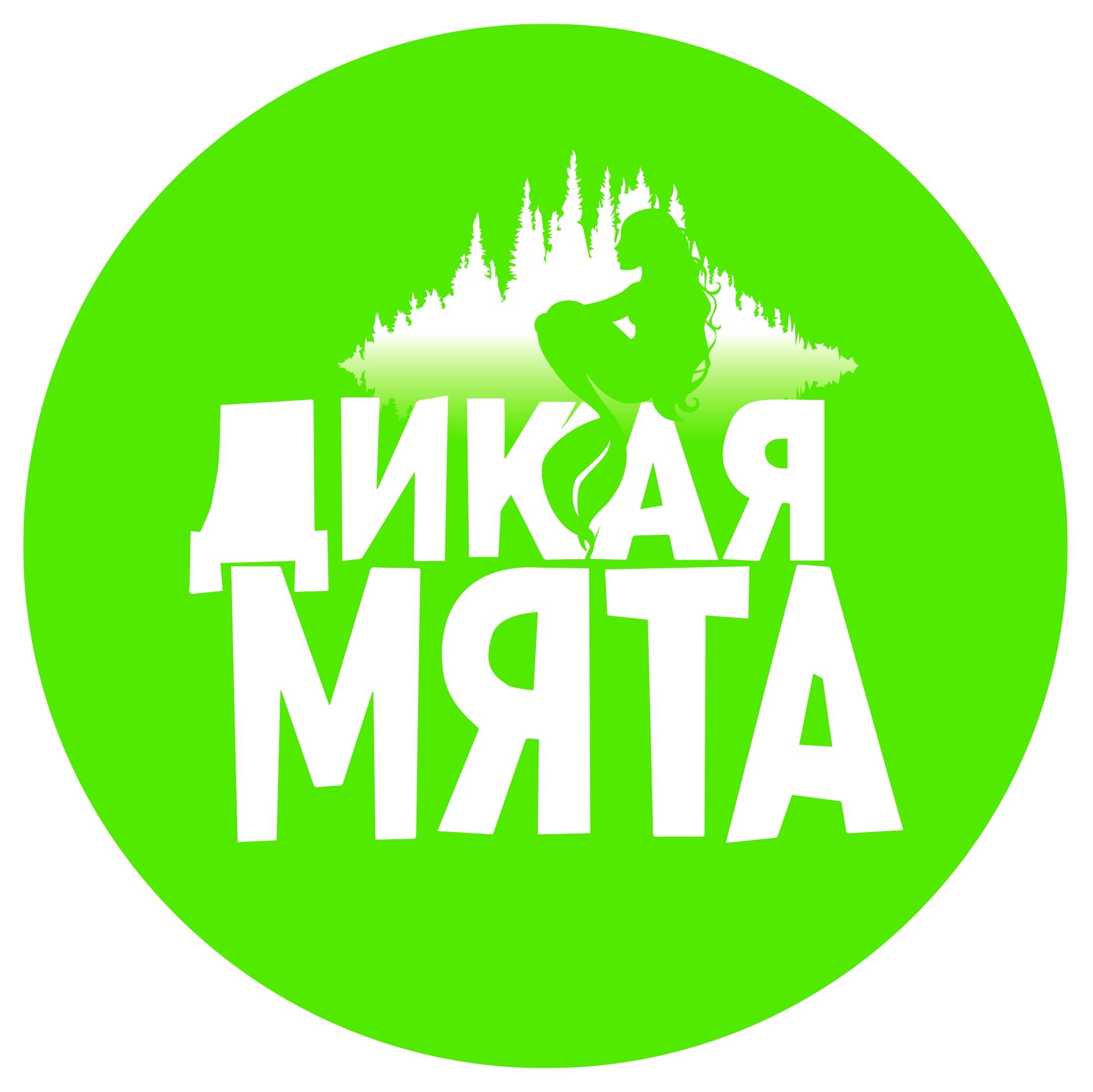 Дикая мята картинка