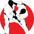 Иконка канала Judo Channel