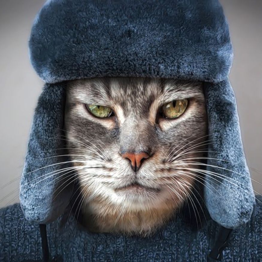 Иконка канала ﹤﹤﹤FLASH﹥﹥﹥