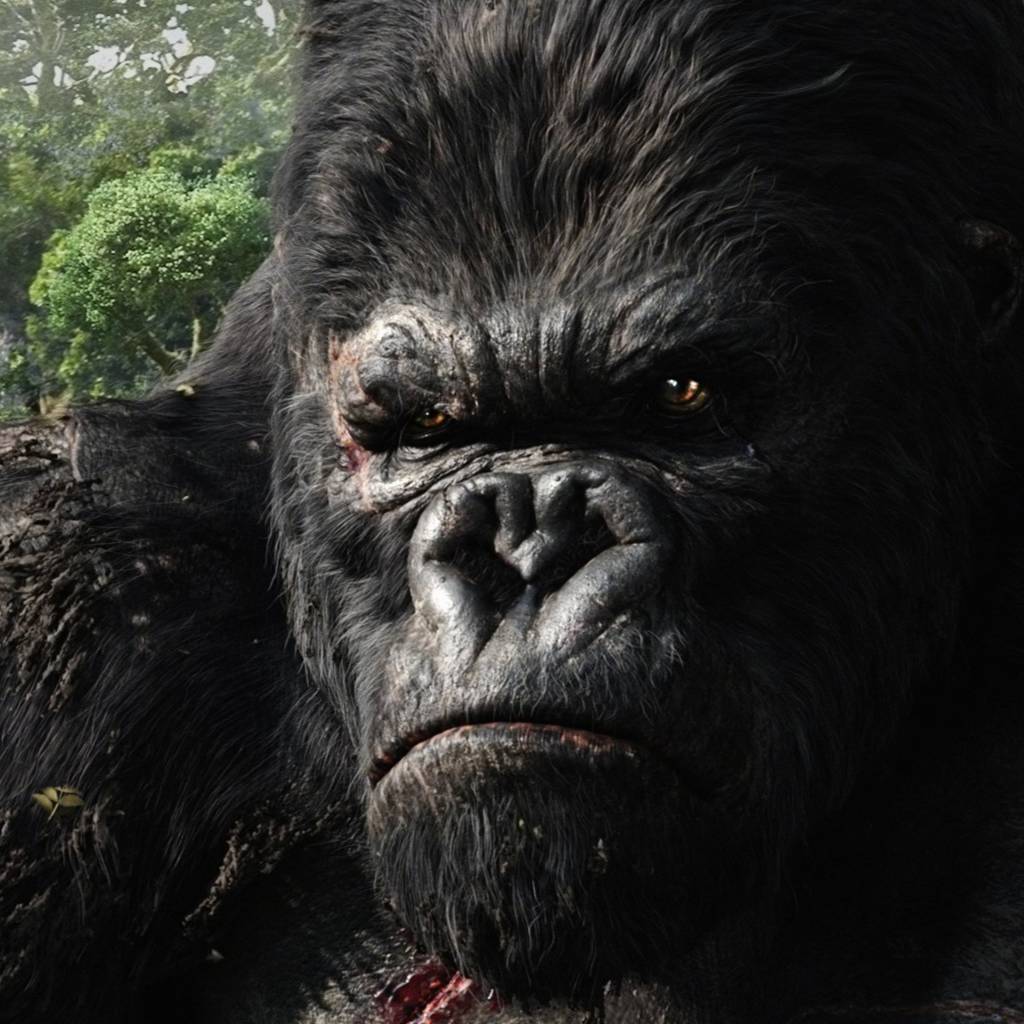 Кинг конг дата. Кинг-конг жив 2012. Конг остров черепа 2. Конг остров черепа 2. Конг остров черепа 2017.