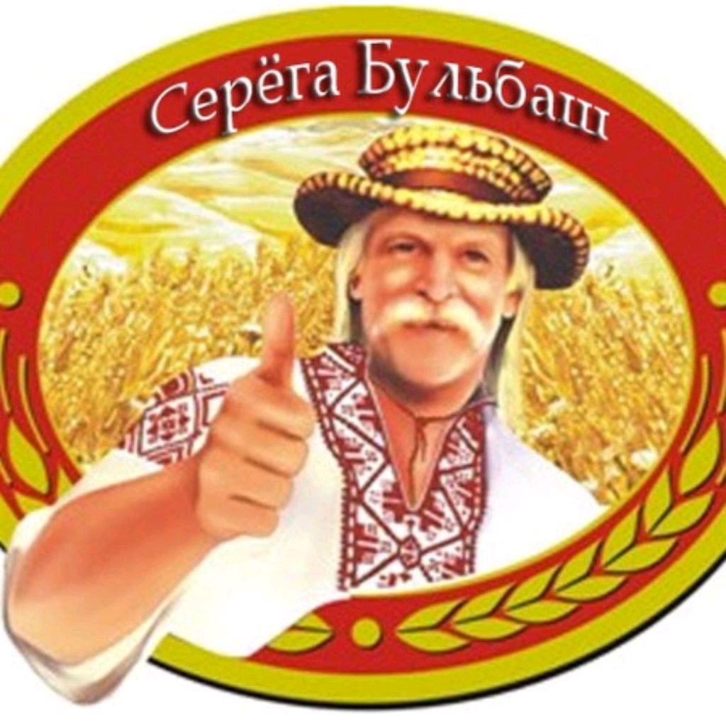 бульбаши. бульбашъ логотип. картошка смешно. добрый бульбаш. бульбаши.