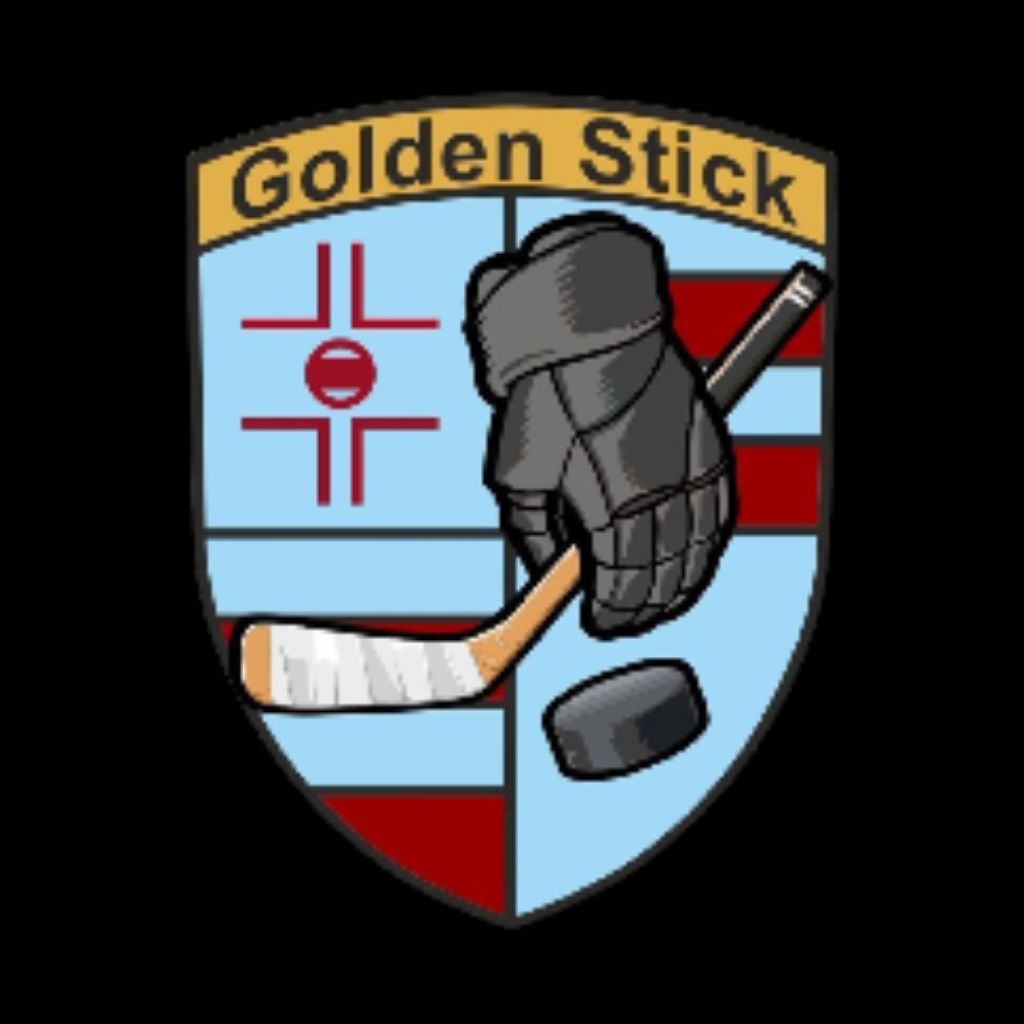 Golden stick. Хоккейная бросковая зона. Хоккейная зона.