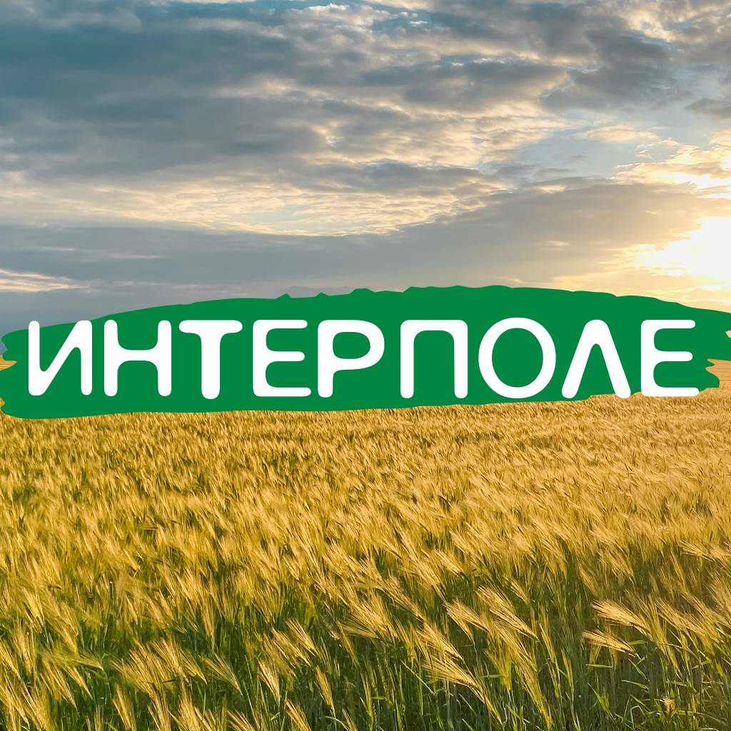 Иконка канала ИНТЕРПОЛЕ. 8-800-700-18-17