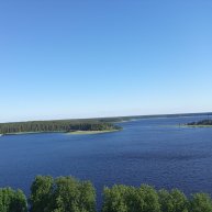 Иконка канала Моя социальная позиция-Я ЗА МИР!