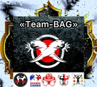 Иконка канала «Team-BAG»