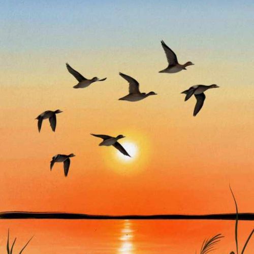 Иконка канала Артем Афанасьев