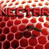 Иконка канала NECTAR