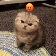 Иконка канала uniti237