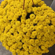 Иконка канала Роман Лозинов