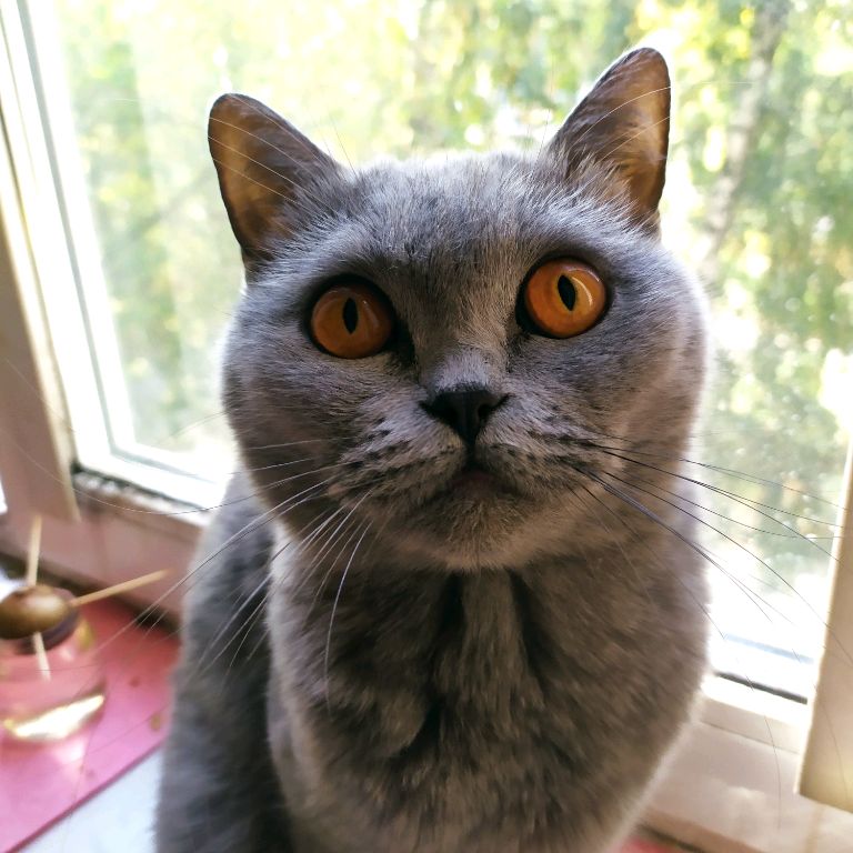 Аватар
