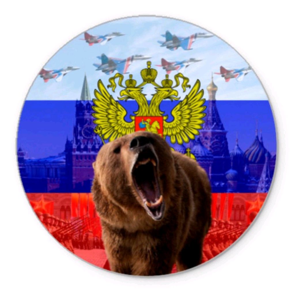 Россия медведь