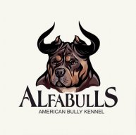 Иконка канала AlfaBullsKennel