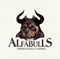 Иконка канала AlfaBullsKennel