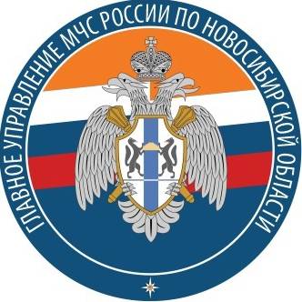 Иконка канала ГУ МЧС России по Новосибирской области