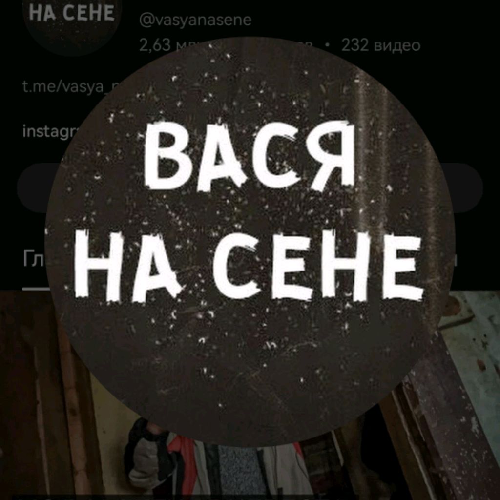 Вася на дзене. Вася на дзене