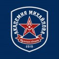 Иконка канала Академия Хоккея им.Б.П.Михайлова, Тульская область