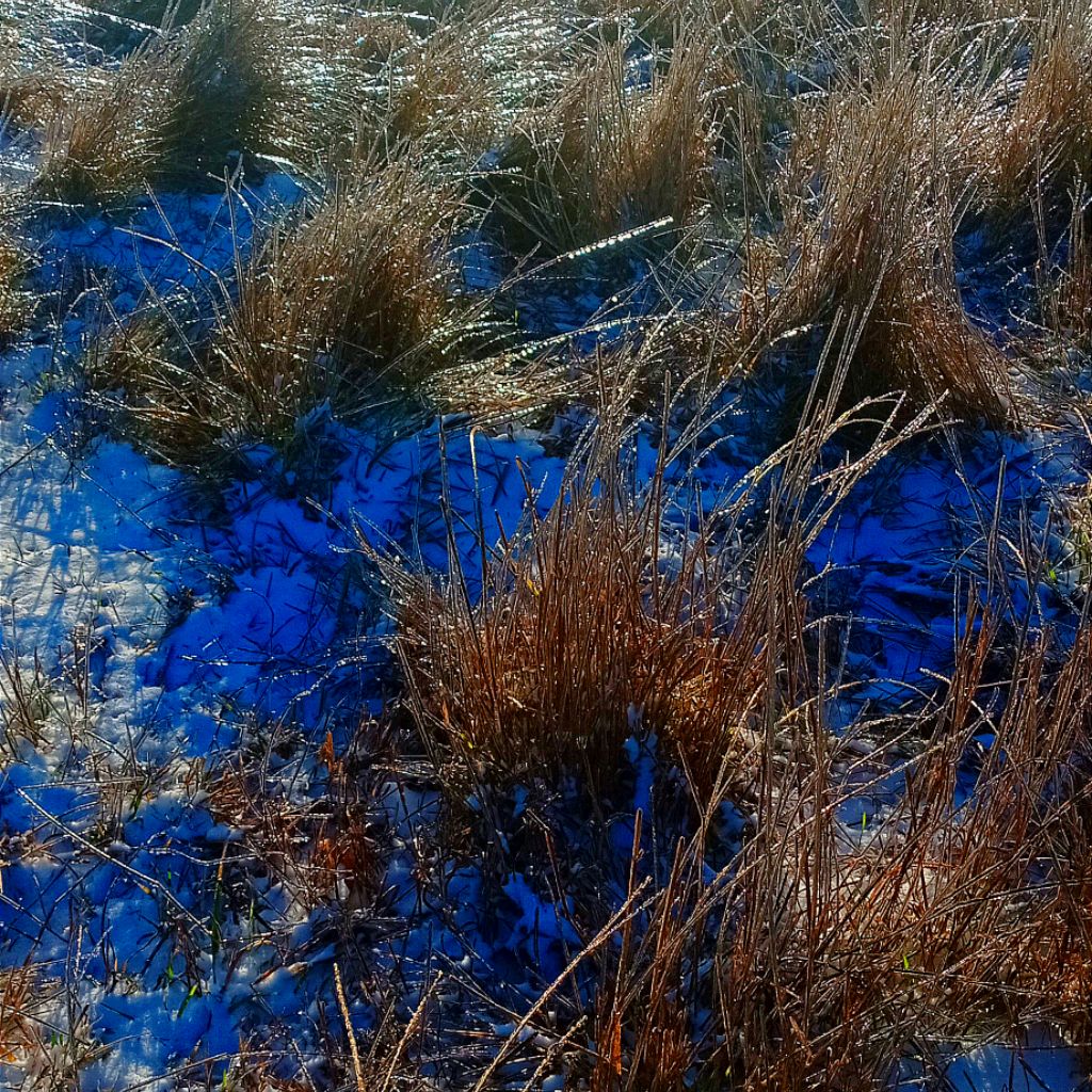 вован казино зарегистрироваться