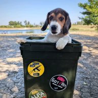 Иконка канала JazzFishing