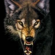 Иконка канала GC The Division 2