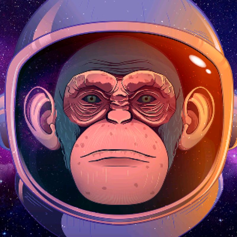 Space monkey. Спейс манки. Space Monkey картина. Space Monkey ашка. Space Monkey 1999.