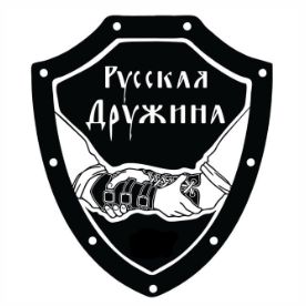 Иконка канала Русская Дружина