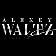 Иконка канала Waltz Company