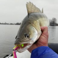 Иконка канала РЫБАЛКА С ШАМАНОМ!