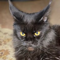 Иконка канала Sovit001