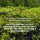 Иконка канала ВНИИ лесной генетики, селекции и биотехнологии