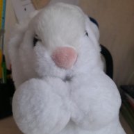 Иконка канала Dimas_пивас