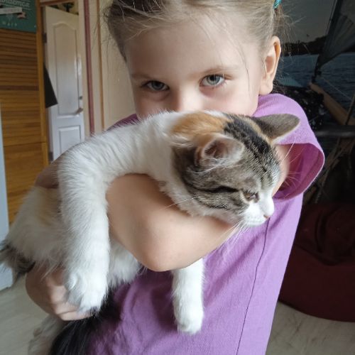 Аватар