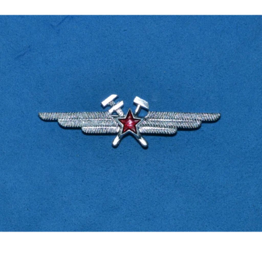 нагрудные знаки авиация. нагрудные знаки авиация. знак морской авиации вмф. символ летчиков. знаки морской авиации вмф ссср.