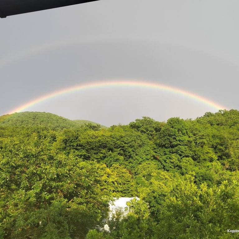 Иконка канала Моя жизнь на юге