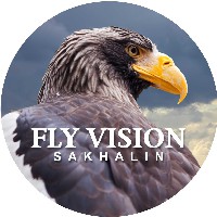Иконка канала Fly Vision Sakhalin