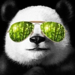 Иконка канала Усатый Panda Т3000