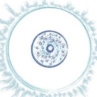 Иконка канала Звёздная традиция