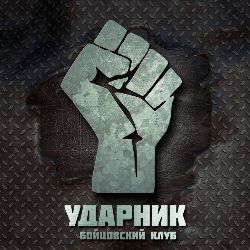 Иконка канала Бойцовский клуб  "Ударник"