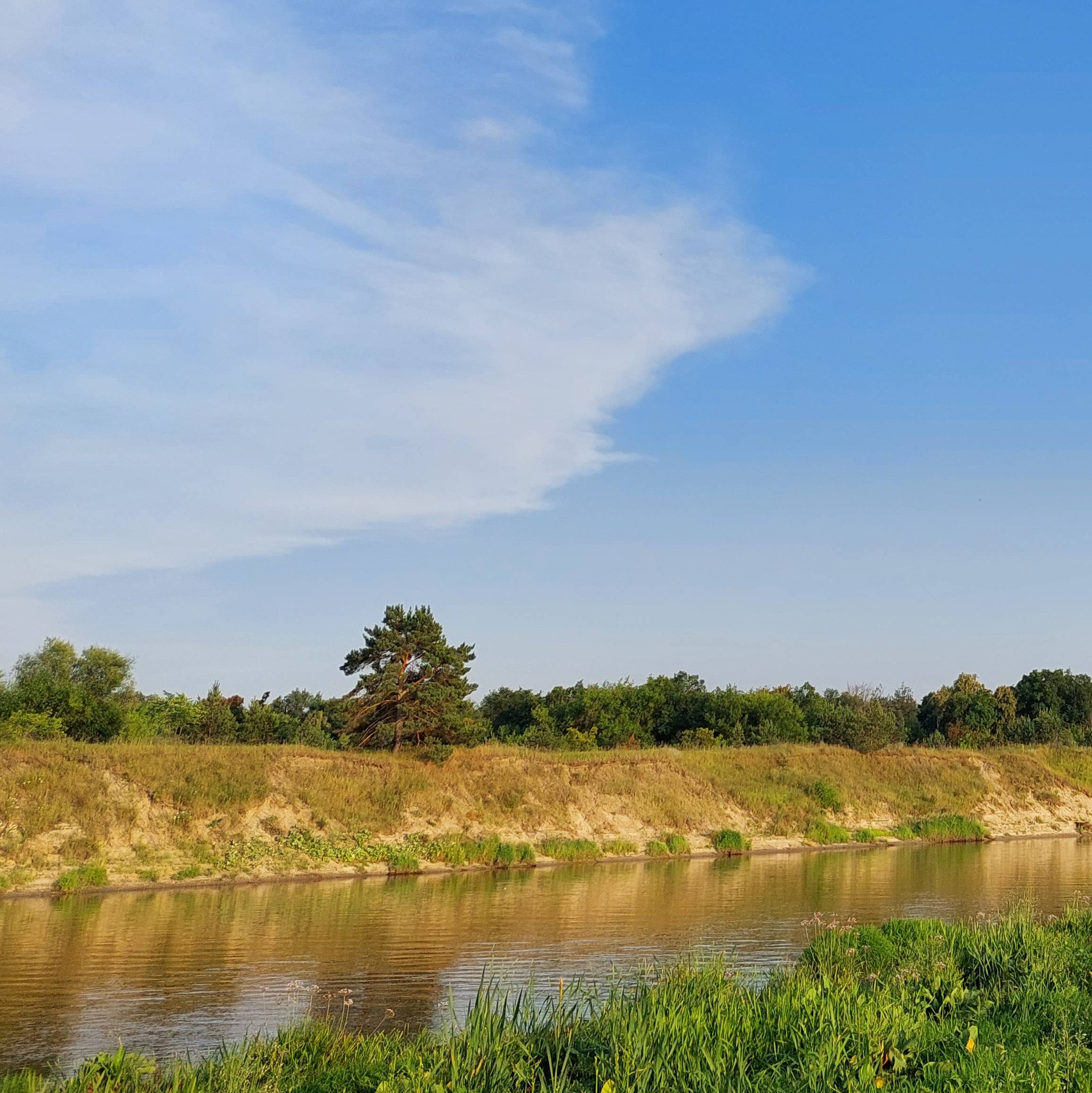 Иконка канала Аутсайдер