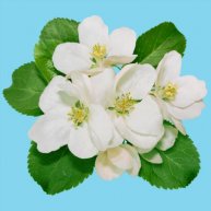 Иконка канала Психология ВсеЕдинства